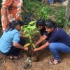 A tree planting program at "Sanhinda" Elderly Daycare Center (2024-06-06)